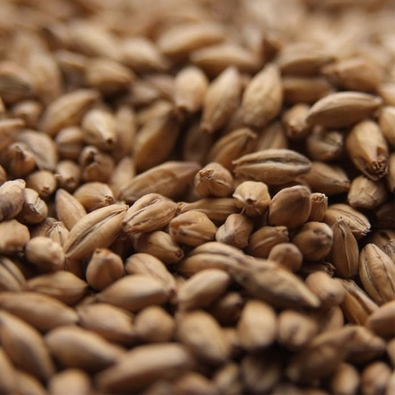 Thomas Fawcett & Sons Maris Otter Pale Ale Malt