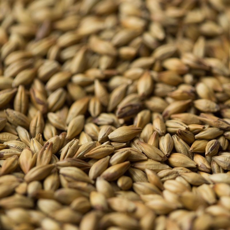 Gladfield Supernova Malt