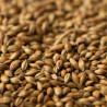Gladfield RedBack Malt