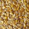 Gladfield Maize Malt 