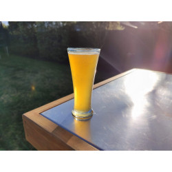 American Cream Ale with Lime