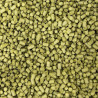 Nelson Sauvin Hops 100gm