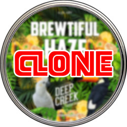 Brewtiful Haze NEIPA Clone Recipe Kit 23L