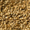 Gladfield Medium Crystal Malt