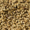 Gladfield Light Crystal Malt