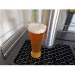 Hapi Daze Clone Recipe Kit 23L