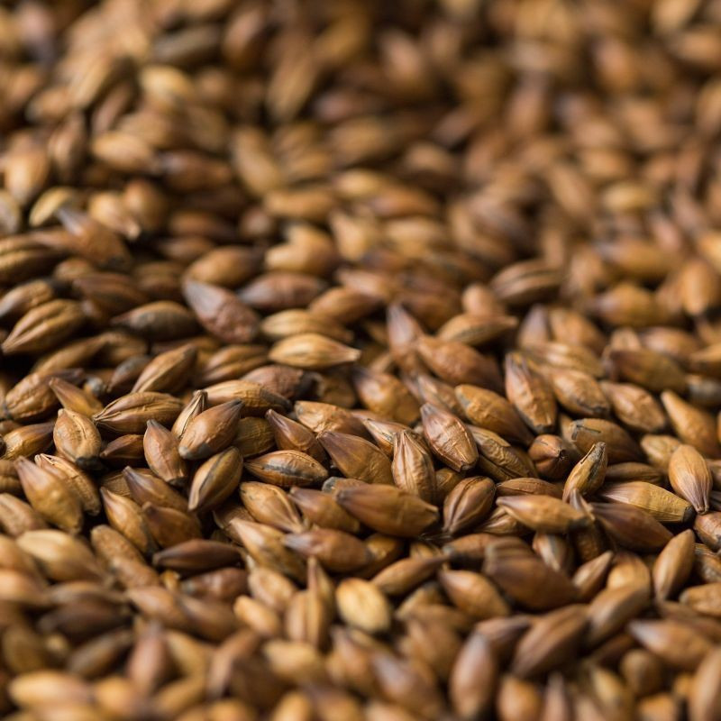 Gladfield Brown Malt