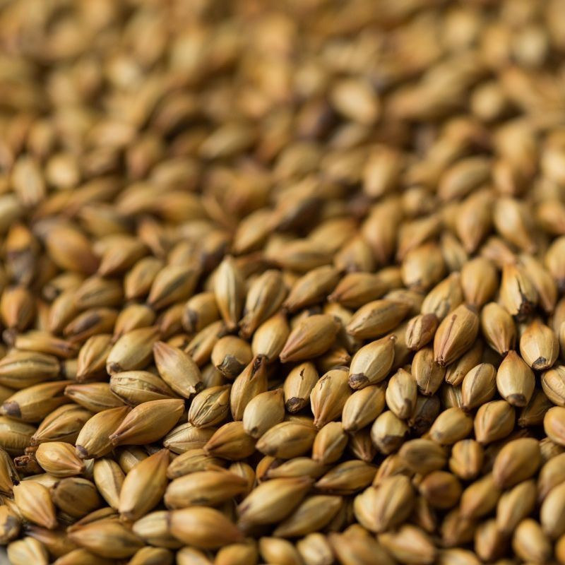 Gladfield Dark Crystal Malt