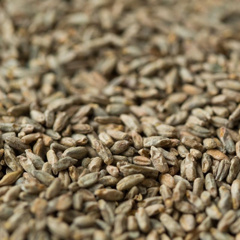 Gladfield Rye Malt