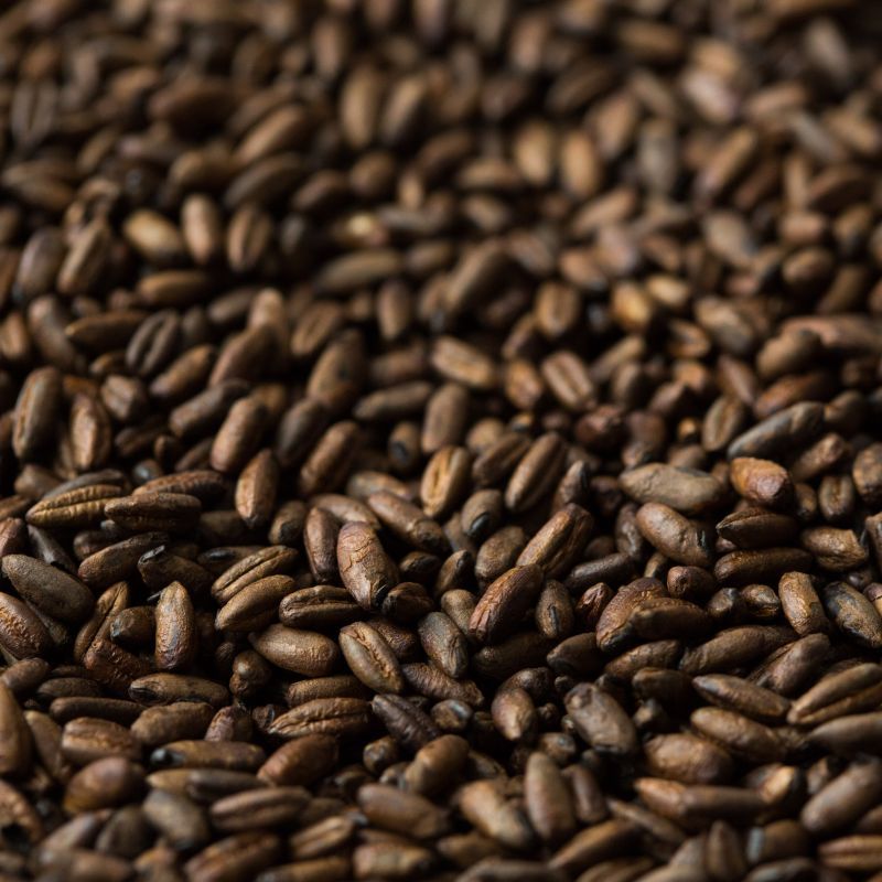 Gladfield Chocolate Rye Malt