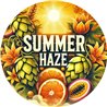 Summer Haze Recipe Kit 23L