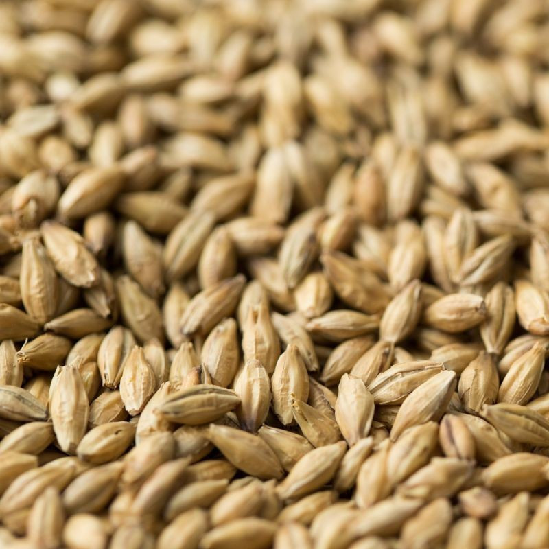 Glafield Lager Light Malt