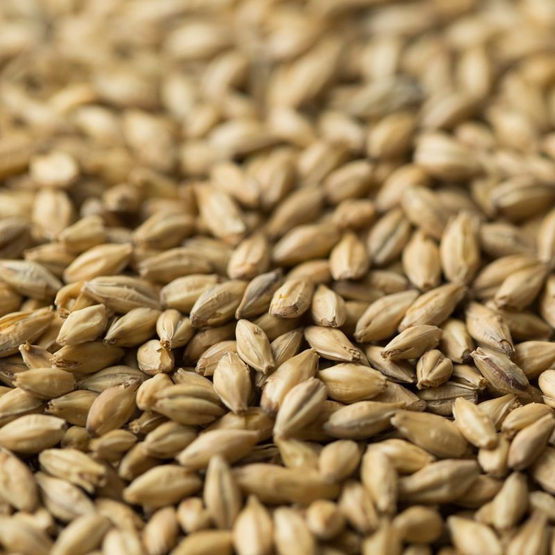 Gladfield German Pilsner Malt