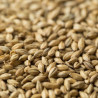 Gladfield German Pilsner Malt