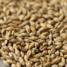 Gladfield Gladiator Malt