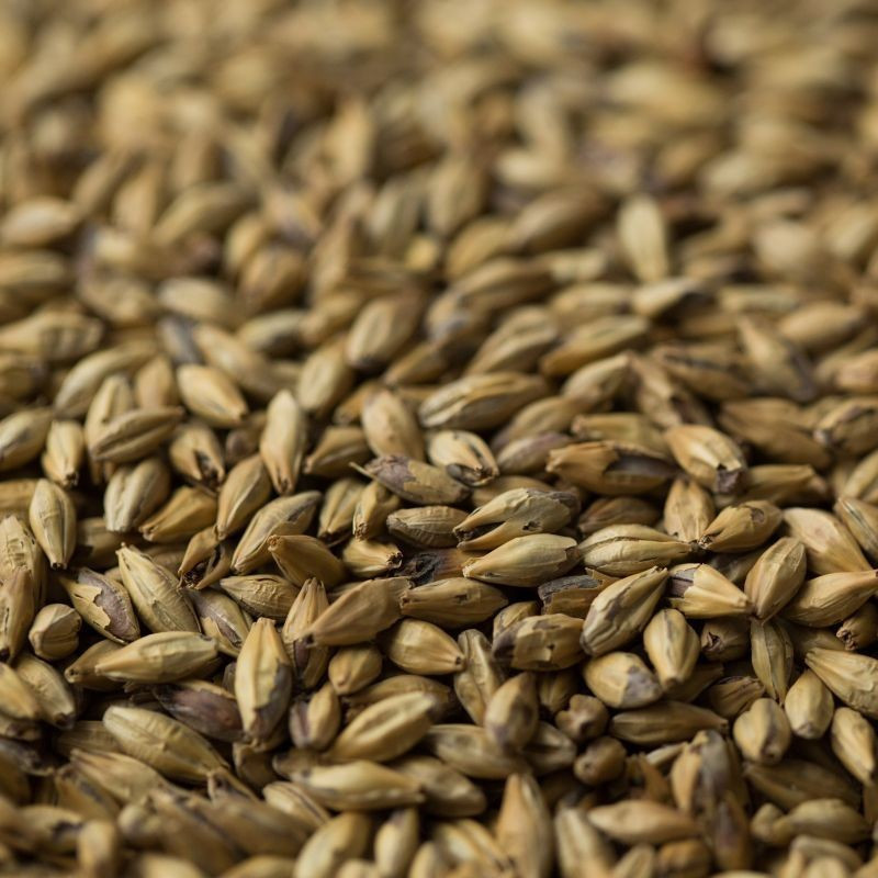 Gladfield Biscuit Malt